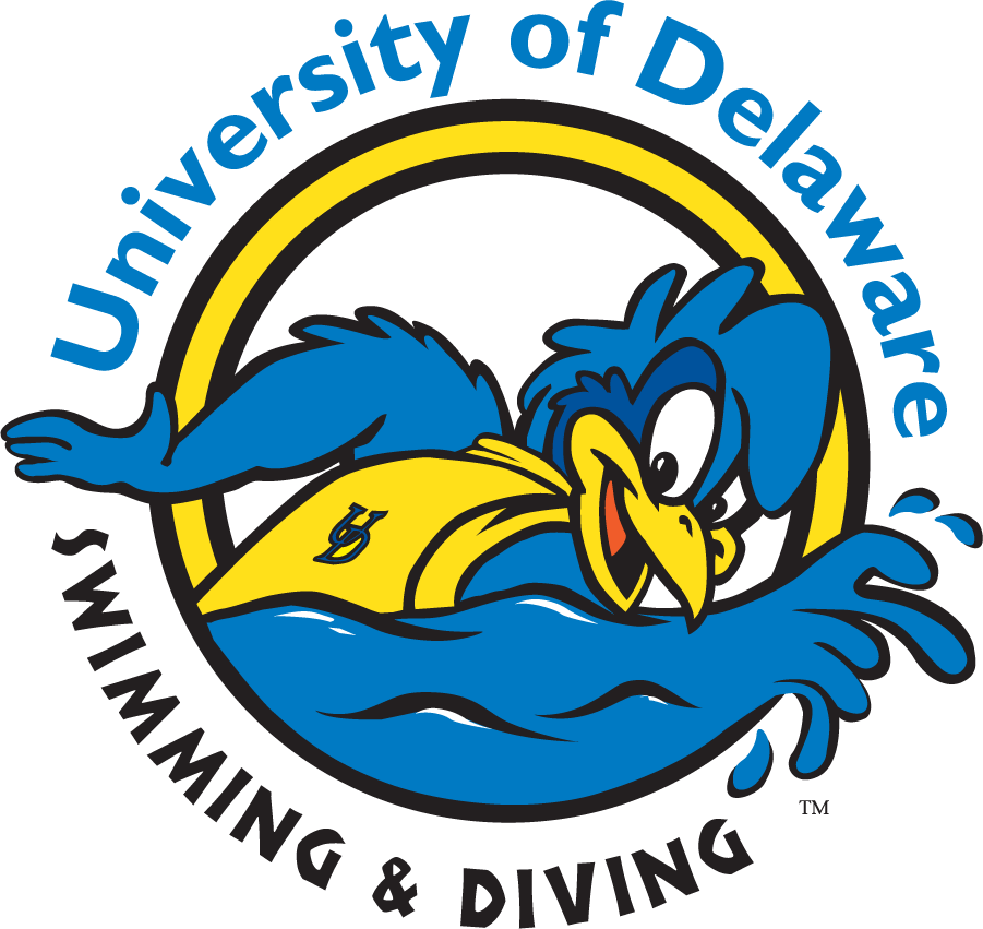 Delaware Blue Hens 1999-2009 Mascot Logo v9 diy iron on heat transfer